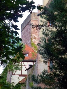 Durchblick auf die Burg