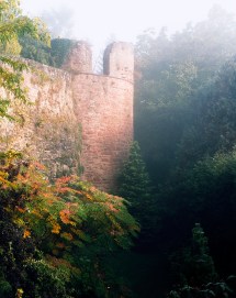 Gamburg im Morgennebel1 kl