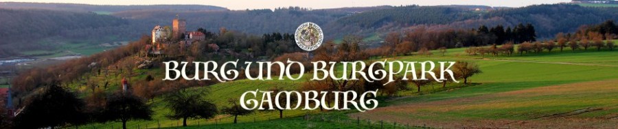 Burg Gamburg