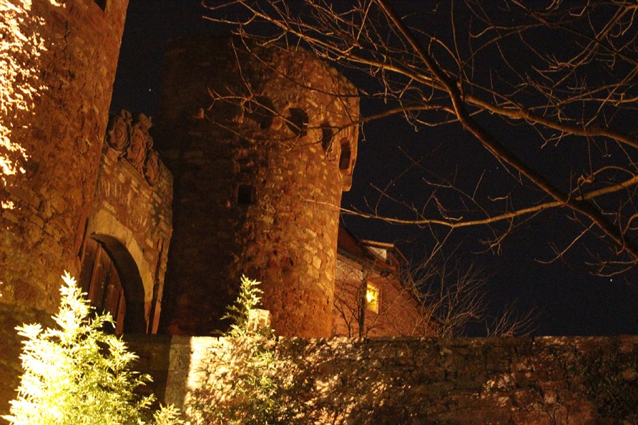 Burg Gamburg