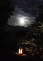 Burg und Burgpark Gamburg