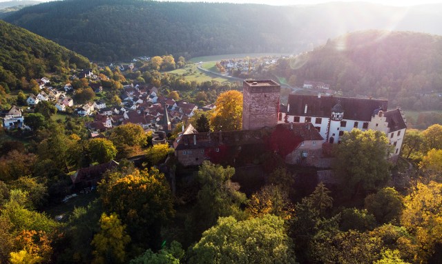 Burg und Burgpark Gamburg