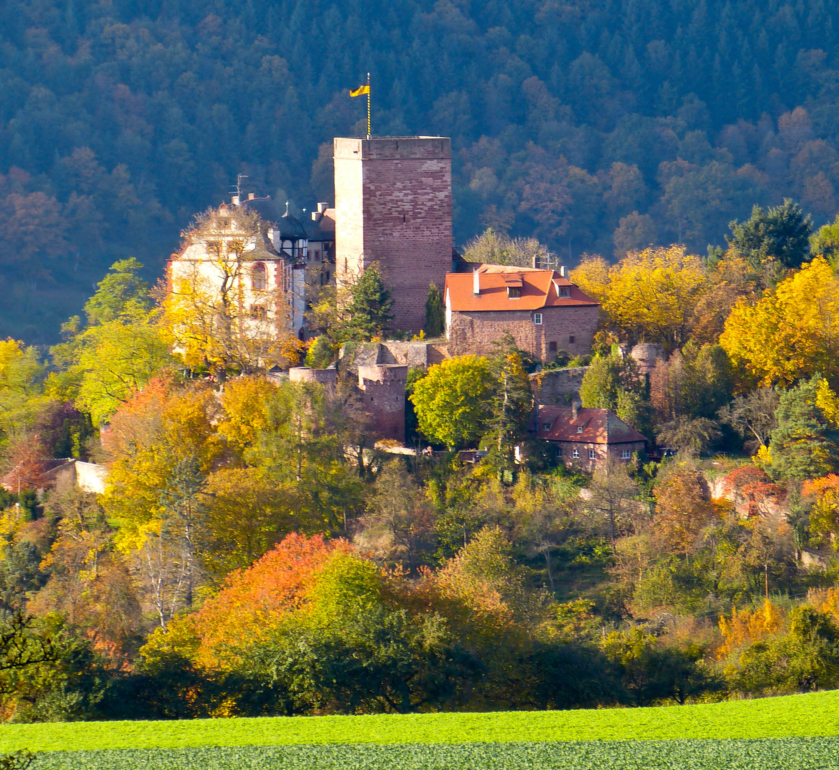 Gamburg Gold Quadrat Wilhelm Strake
