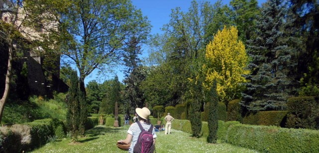 599a8386-7dd1-40c8-868c-b3a6a9524c0e-A