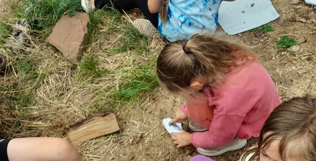 PHOTO-2023-07-23-21-04-33-1